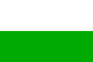 Fusagasuga Flag of Country - Green and White