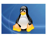 Linux vs Windows Web Hosting