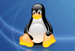 Linux Operating System Logo