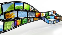 Royalty Free Stock Exchange Images