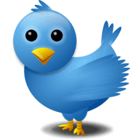 Twitter Bird