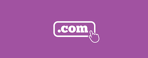 Domain Name