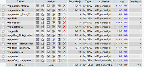 MySQL Database